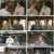 군자맹.E14.230525.1080p.H264-F1RST