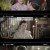 꿈속의 당신처럼.E36.230822.720p-NEXT