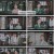 신소년 포청천.E11.230911.1080p.H264-F1RST