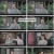 신소년 포청천.E16.230918.1080p.H264-F1RST
