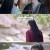 옥골요.E07.231003.1080p-NEXT