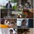 [WEB-DL *WC] 바라카몬 (ばらかもん 2023)