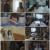 유리아 선생님의 붉은 실 2023.1080p