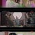 공자 아취정니료2.E18.231218.1080p-NEXT