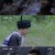 천하정도.E09.231219.1080p-NEXT