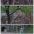 천하정도.E13.231221.1080p.H264-F1RST