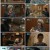 이혼하지 않는 남자.2024.EP01.240209.1080P.x264.AAC-DarK