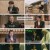 투파창궁 돌아온 소년.E01.240314.1080p.H264-F1RST
