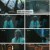투파창궁 돌아온 소년.E09.240326.1080p.H264-F1RST