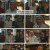 투파창궁 돌아온 소년.E24.240416.1080p.H264-F1RST