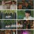 투파창궁 돌아온 소년.E25.240417.1080p.H264-F1RST