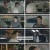우리가 만난 겨울.E13.240516.1080p.H264-F1RST