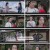 기금조.E23.240524.1080p.H264-F1RST