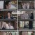 기금조.E24.240527.1080p.H264-F1RST
