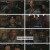 강희암행록4.E06.240603.1080p.H264-F1RST