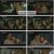 금천적타문.E14.240813.1080p.H264-F1RST