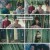 난심.E13.240815.1080p.H264-F1RST