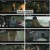 금천적타문.E17.240816.1080p.H264-F1RST