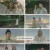 장상사.E04.240822.1080p.H264-F1RST