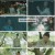 장상사.E08.240828.1080p.H264-F1RST
