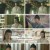 장상사.E14.240905.1080p.H264-F1RST