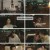장상사.E25.240920.1080p.H264-F1RST