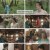 장상사.E26.240923.1080p.H264-F1RST