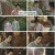 장상사.E28.240925.1080p.H264-F1RST