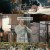 류엽적성진.E01.241031.720p-NEXT
