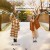 눈이 부시게.Theight.in.Your.Eyes.S01.완결.1080p.x264.AAC-BCG