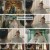 장상사.E55.241101.1080p.H264-F1RST