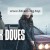 블랙 도브(6부작).S01E01-E06.1080p NF WEB-DL DDP5 1 Atmos H 264-FLUX