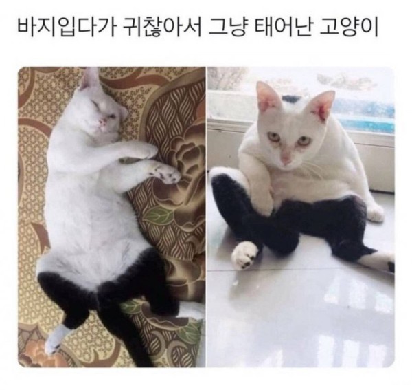 17508312350345.jpg