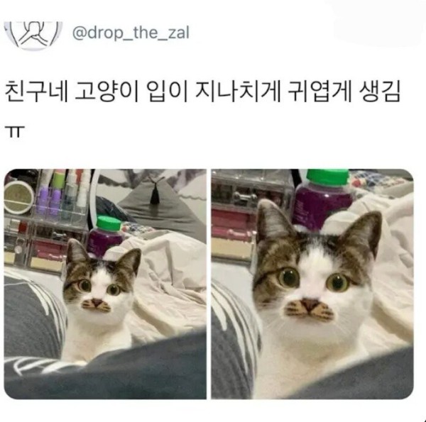 17508313558324.jpg