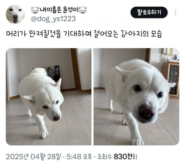 17508319462036.png