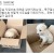 사무실 지킴이로 데려온 강아지