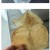 알리 마른오징어 구매 후기