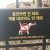 의외로 데리고 다니면 안돼는 개