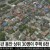 상위 30명의 위엄ㄷㄷㄷㄷㄷㄷㄷㄷ