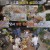 28년 된 소주 개봉한 이수근