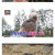 타조의 신기한 습성