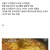 서울식 낙지 볶음vs부산식 낙지 볶음
