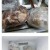족발집 아들의 장점
