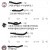 남한 여한으로 나누자는 그녀들