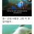 물개가 물강아지로 불리는 이유