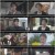 그놈이 그놈이다_E03_200713_720p