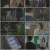 브람스를 좋아하세요_E12_201006_720p