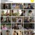 오 삼광빌라.E50.210307.720p-NEXT