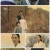 보쌈-운명을 훔치다.E03.210508.720p.H264-F1RST
