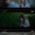 너는 나의 봄.E11.210809.720p-NEXT